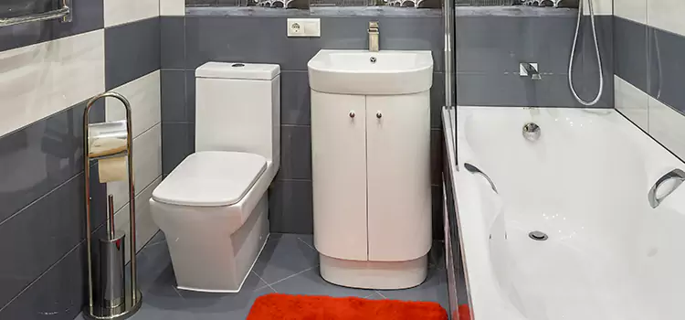 Hansgrohe Shaving Mirror Rio Rancho